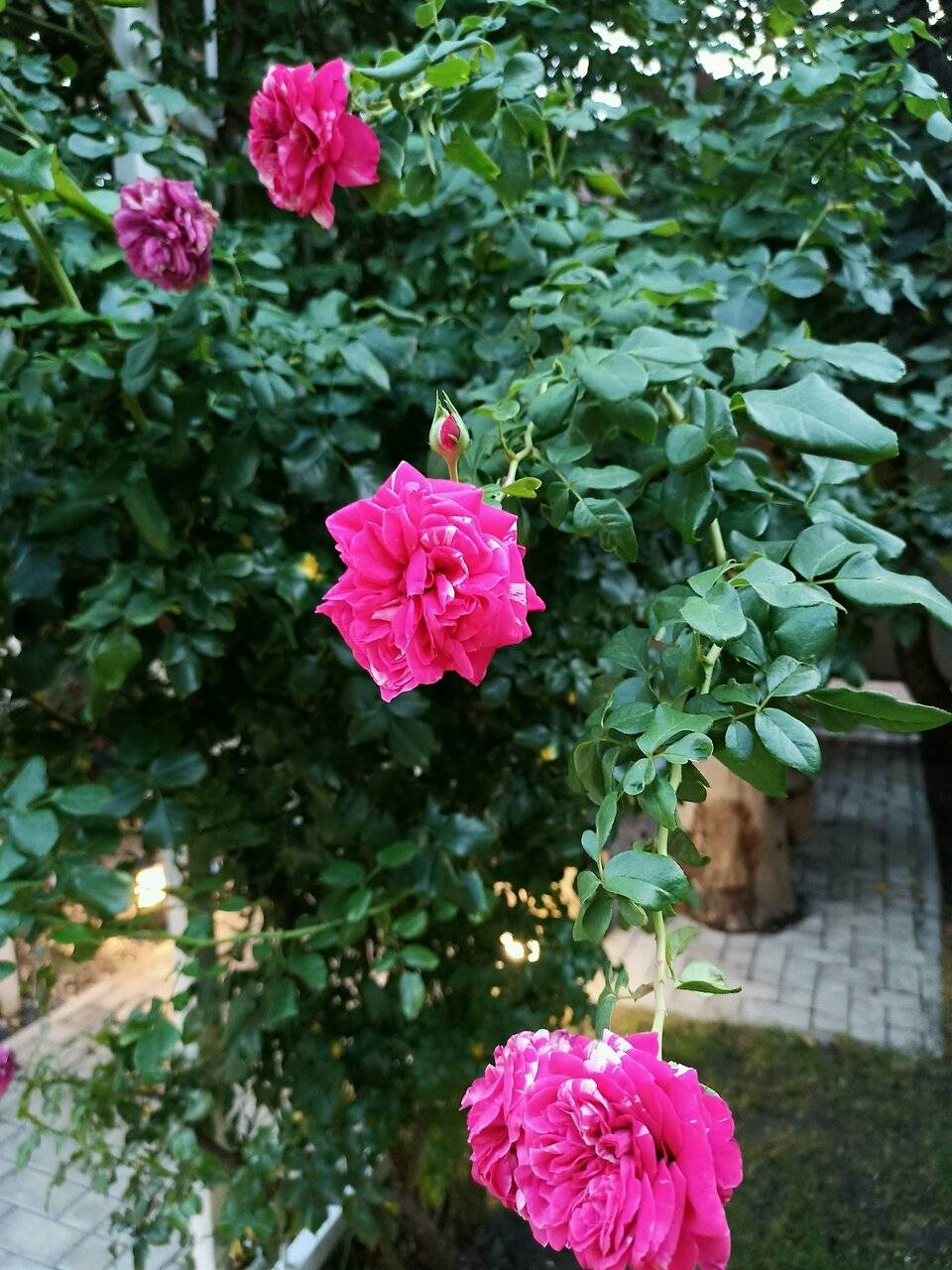 Фото Гостиницы Совёнок Ейск 135