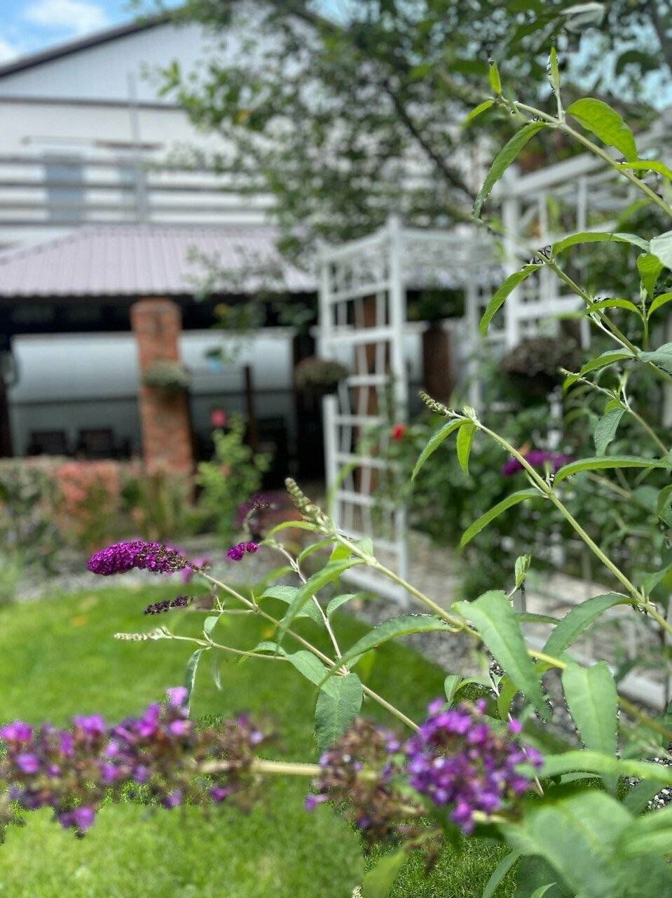 Фото Гостиницы Совёнок Ейск 51