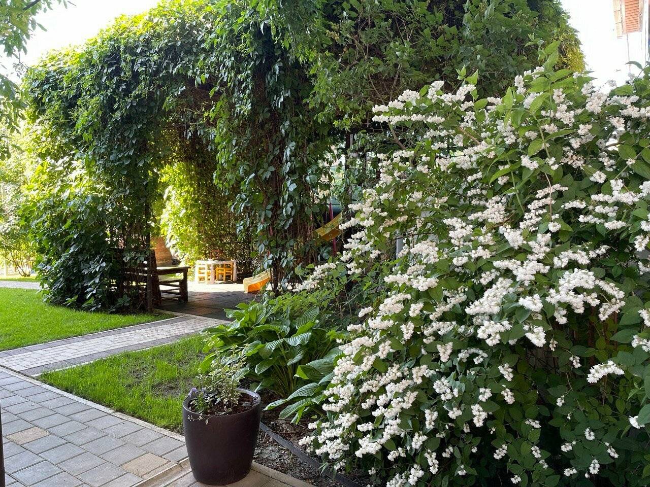 Фото Гостиницы Совёнок Ейск 18